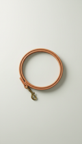 Minimalist Leather Dog Leash
