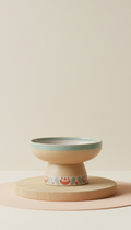 Ceramic Elevated Feeder Bowl